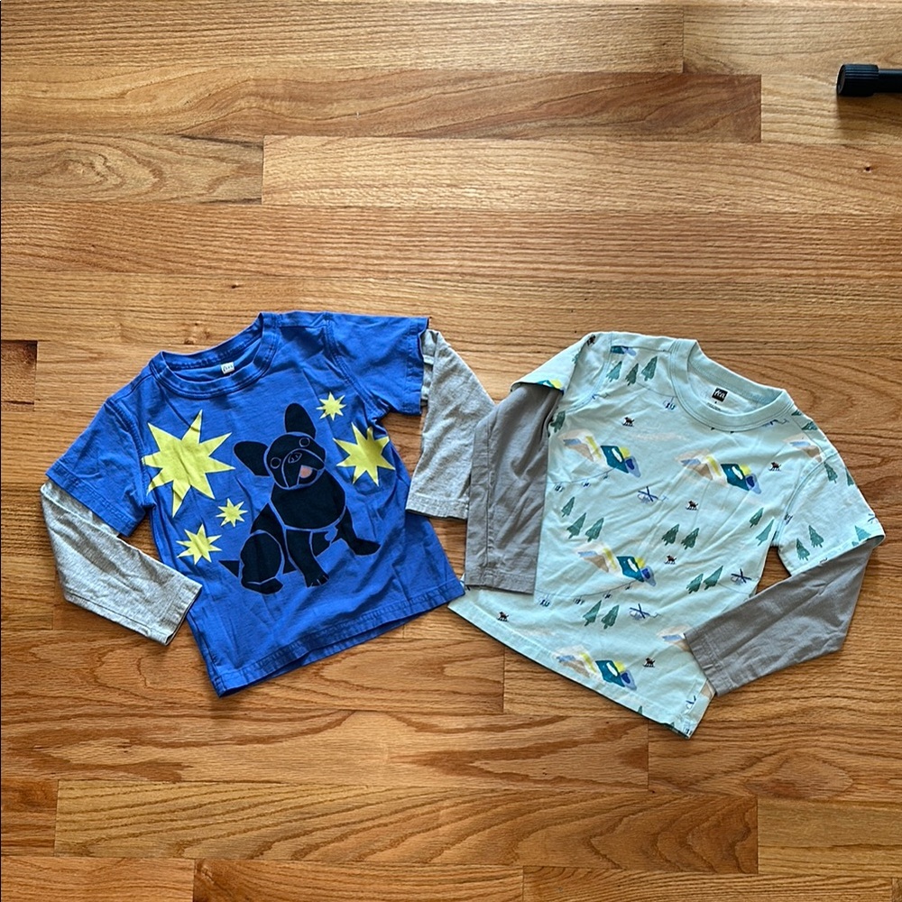 Tea Collection Blue and Gray Long Sleeve Tees